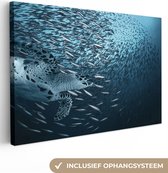 Peinture sur toile - Tortue - Poisson - Animaux aquatiques - Water - Canvasdoek - 60 x 40 cm - Photo sur toile - Peintures sur toile