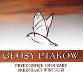 Głosy Ptaków vol. 4 [BOX] [2CD]