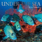 Under the Sea Kalender 2024
