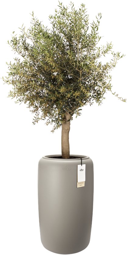 elho pure cilinder 40cm - Nederland