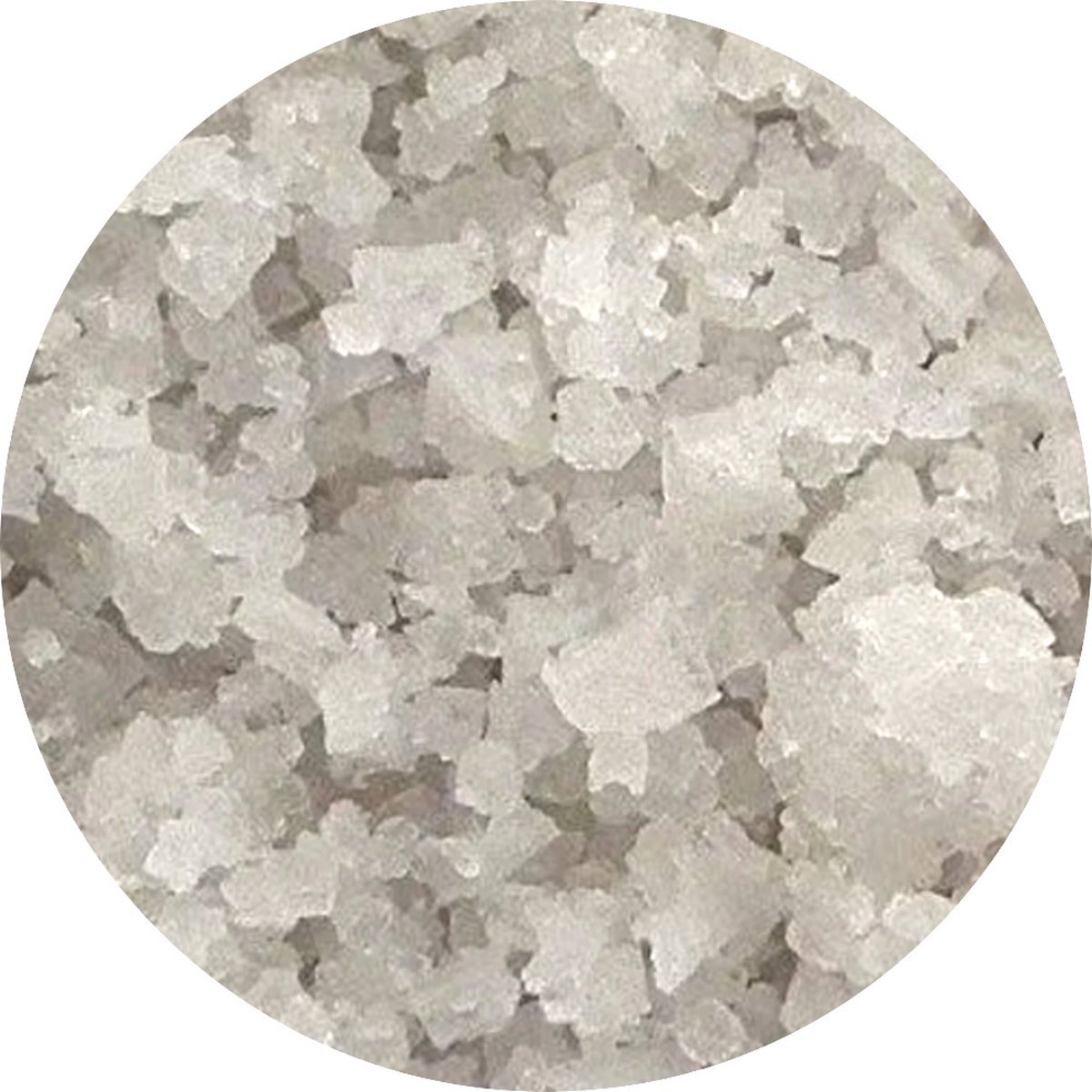 Goedkoopste Van Beekum Specerijen - Keltisch Zeezout Grof - 20 KG - Zak (bulk verpakking