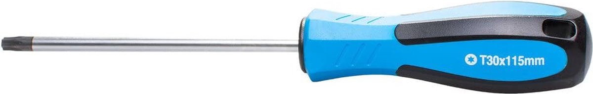 SW-Stahl 31730SB schroevendraaier met T-profiel I T30 x 115 mm I TX-schroevendraaier I T-schroevendraaiergereedschap