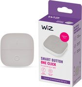 WiZ Smart button