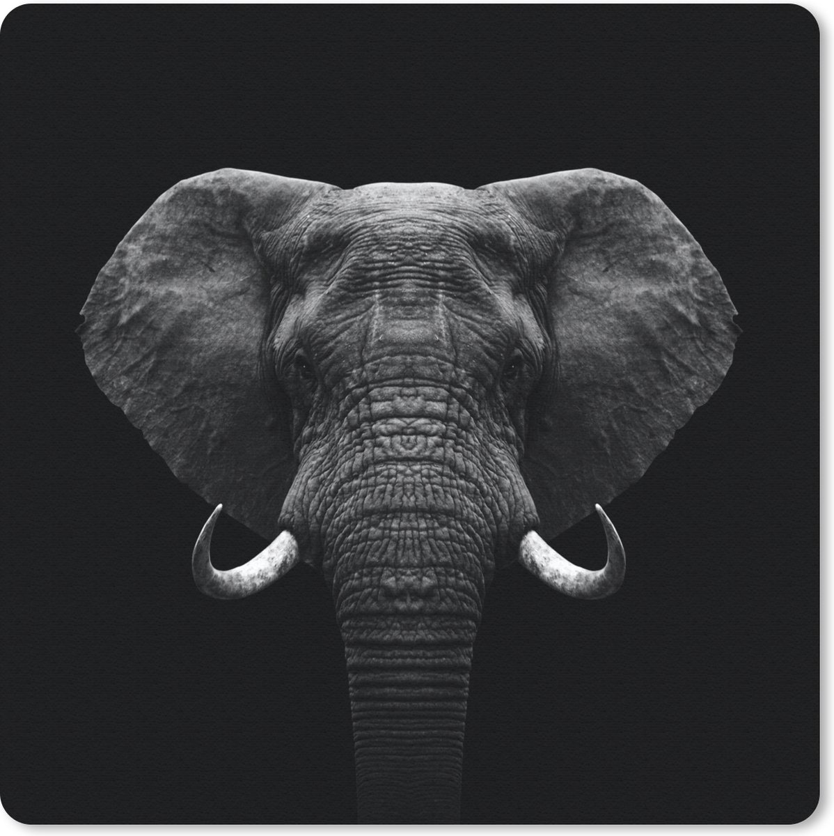 Muismat 20x20 cm - Mousepad Dieren - Olifant - Portret - Zwart - Wit - Muismatten