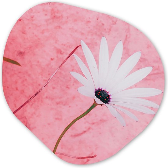 Organische Wanddecoratie - Kunststof Muurdecoratie- Organisch Schilderij - Bloemen - Roze - Vintage- 90x90 cm - Organische spiegel vorm op kunststof