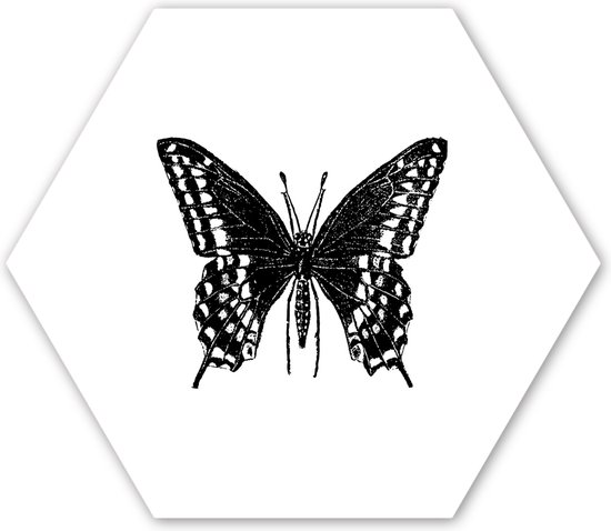 Hexagon wanddecoratie - Kunststof Wanddecoratie - Hexagon Schilderij - Vlinder - Dieren - Retro - Zwart wit - 75x65 cm