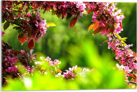 WallClassics - Acrylglas - Roze Bladeren aan Tak - 75x50 cm Foto op Acrylglas (Met Ophangsysteem)