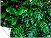 Tuinschilderij Bladeren - Tropisch - Azië - 80x60 cm - Tuinposter - Tuindoek - Buitenposter