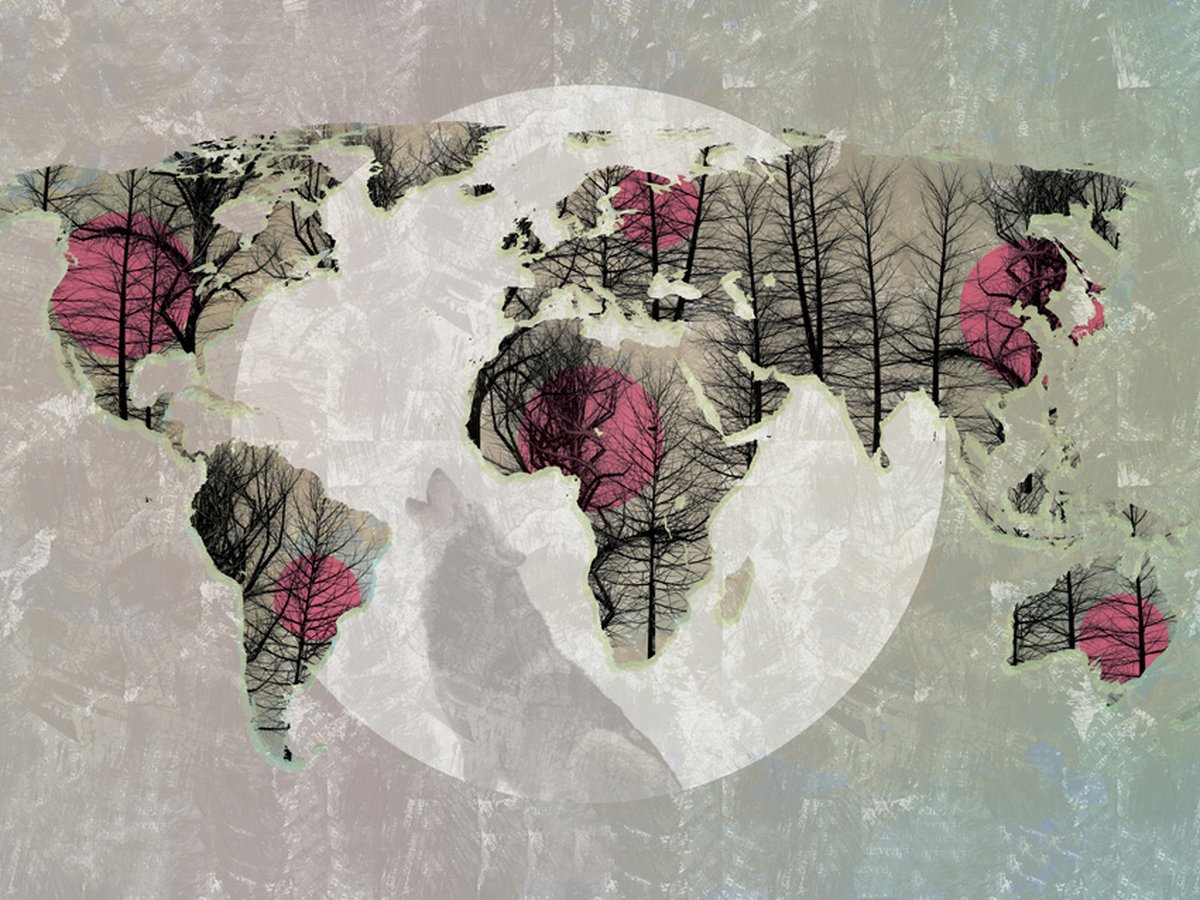 Fotobehang - Map of the World - Howling to the moon.