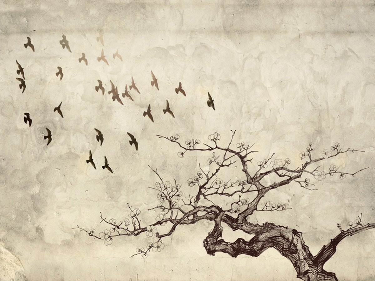 Fotobehang - Flock of birds.