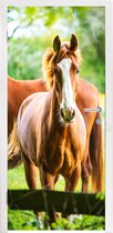 Deursticker Paarden - Licht - Weide - 90x215 cm - Deurposter - Cadeau meisje 7 jaar