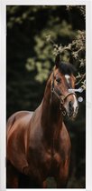 Deursticker Paard - Takken - Portret - 90x205 cm - Deurposter