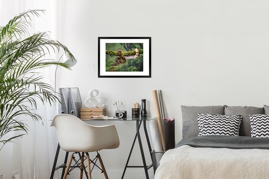 Cadre photo avec affiche - Serpent - Branche - Forêt tropicale - 40x30 cm - Cadre pour affiche