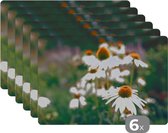 Placemat - Placemats kunststof - Bloemen - Herfst - Botanisch - 45x30 cm - 6 stuks - Hittebestendig - Anti-Slip - Onderlegger - Afneembaar