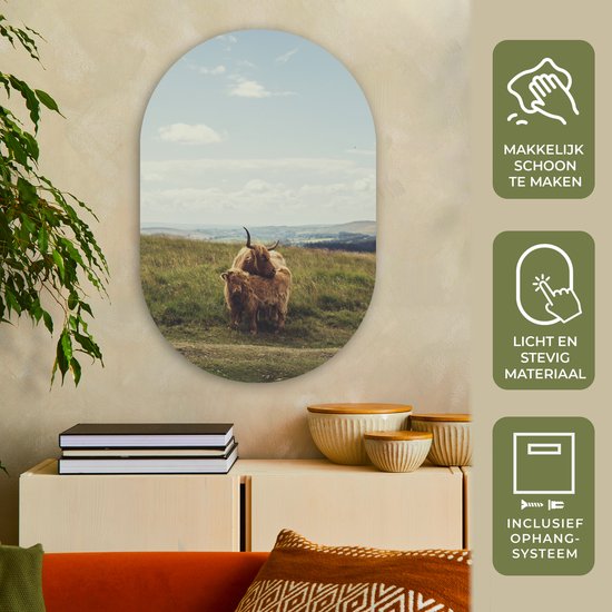 Wall Oval - Décoration murale en plastique - Peinture ovale - Highlanders écossais - Herbe - Nuages - Animaux - 60x90 cm - Forme miroir ovale sur plastique