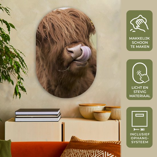 Miroir ovale - Décoration murale en plastique - Tableau ovale - Highlander écossais - Marron - Animaux - 60x90 cm - Forme miroir ovale sur plastique