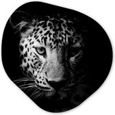 Décoration murale bio - Décoration murale en plastique - Tableau bio - Panthère - Animaux sauvages - Zwart et blanc - Animaux- 40x40 cm - Forme miroir asymétrique sur plastique