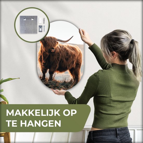 Wall Oval - Décoration murale en plastique - Peinture ovale - Highlander écossais - Animaux - Rural - Paysage - 40x60 cm - Miroir ovale sur plastique