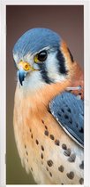 Deursticker Vogel - Macro - Blauw - 95x235 cm - Deurposter