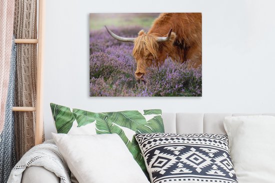 Tableau sur toile Scottish Highlander - Animaux - Bruyère - 40x30 cm - Décoration murale