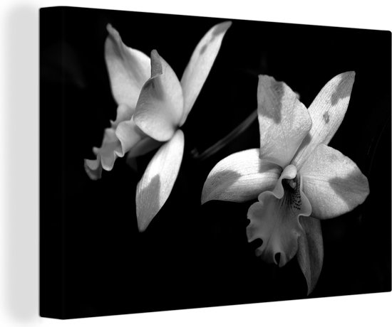 Tableau sur toile Deux fleurs d'orchidées - noir et blanc - 60x40 cm - Décoration murale