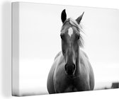 La tête d'un cheval en toile noir et blanc 90x60 cm - Tirage photo sur toile (Décoration murale salon / chambre) / Animaux de la ferme Tableaux sur toile