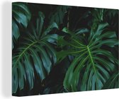 Tableau Toile Monstera - Feuilles - Tropical - Jungle - 120x80 cm - Décoration murale