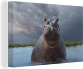 Canvas Schilderij Nijlpaard - Water - Wolken - 60x40 cm - Wanddecoratie