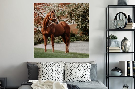 Stickers muraux - Cheval - Arbre - Licol - 120x120 cm - Feuille adhésive XXL