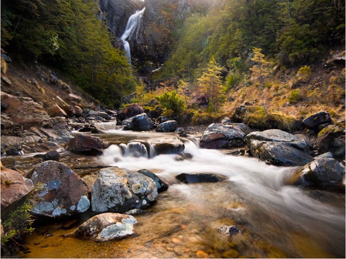 Fotobehang - Ohakune - Waterfalls in New Zealand.