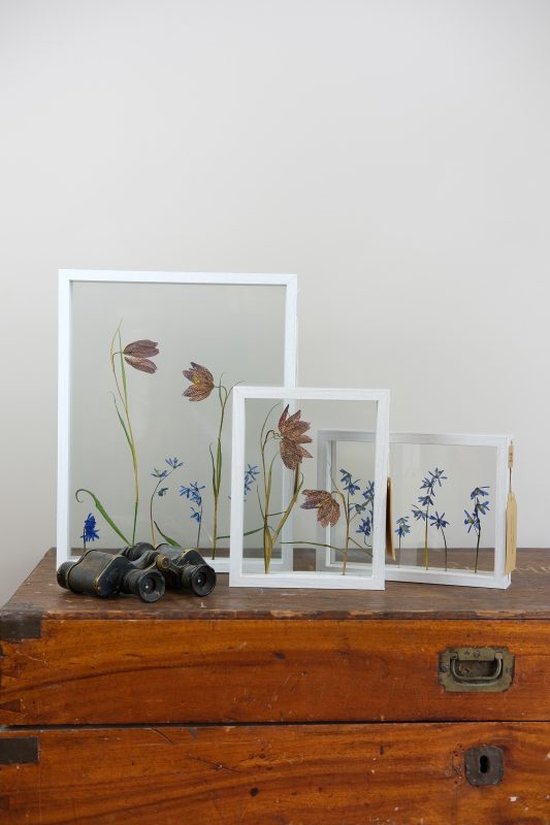 Big Flower Frames - FynBoschDesign