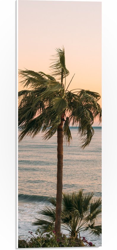 WallClassics - PVC Schuimplaat- Hoge Palmbomen bij Zee - 20x60 cm Foto op PVC Schuimplaat