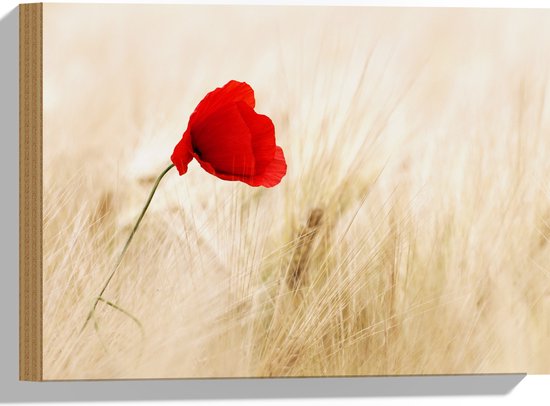 WallClassics - Hout - Rode Klaproos tussen de Droge Grassen - 40x30 cm - 12 mm dik - Foto op Hout (Met Ophangsysteem)