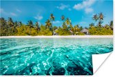 Poster Strand - Palmbomen - Zee - 30x20 cm