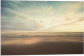 WallClassics - Drapeau - Vogels survolant la mer et la plage - Photo 60x40 cm sur drapeau en polyester