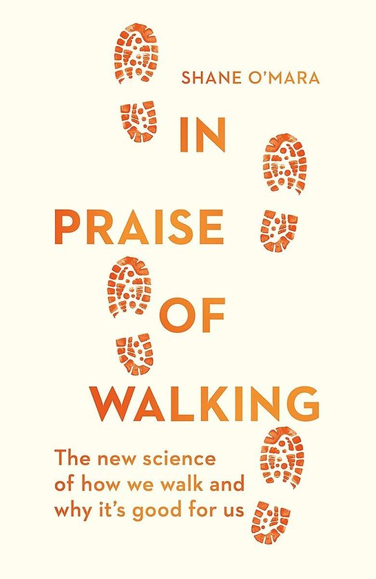 In Praise of Walking - cover