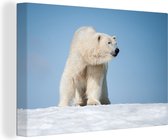 Canvas Schilderij IJsbeer - Sneeuw - Wit - 60x40 cm - Wanddecoratie