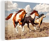 Canvas Schilderij Paarden - Dieren - Gras - Vacht - 90x60 cm - Wanddecoratie