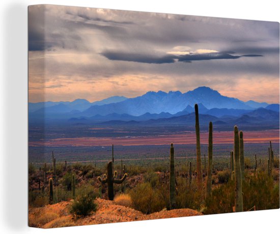 Canvas Schilderij Sonoran woestijn Mexico foto afdruk - 60x40 cm - Wanddecoratie