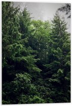 WallClassics - PVC Schuimplaat- Groene Bomen - 60x90 cm Foto op PVC Schuimplaat