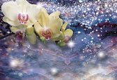 Fotobehang Sparkle Flowers Orchids | XXL - 312cm x 219cm | 130g/m2 Vlies