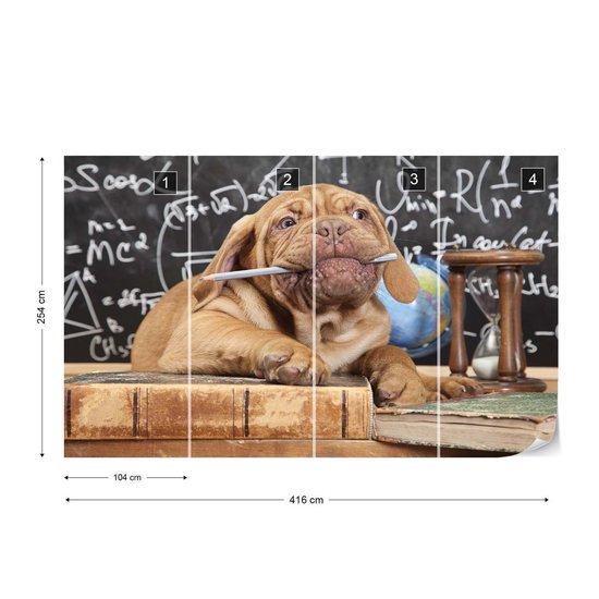 Papier peint Puppy Professor | VEXXXL - 416 cm x 254 cm | Polaire 130gr / m2