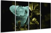 GroepArt - Glasschilderij - Roos - Blauw, Zwart, Groen - 160x80cm 4Luik - Foto Op Glas - Geen Acrylglas Schilderij - 6000+ Glasschilderijen Collectie - Wanddecoratie