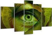 Glasschilderij Oog - Groen, Bruin - 170x100cm 5Luik - Foto Op Glas - Geen Acrylglas Schilderij - 6000+ Glasschilderijen Collectie - Wanddecoratie