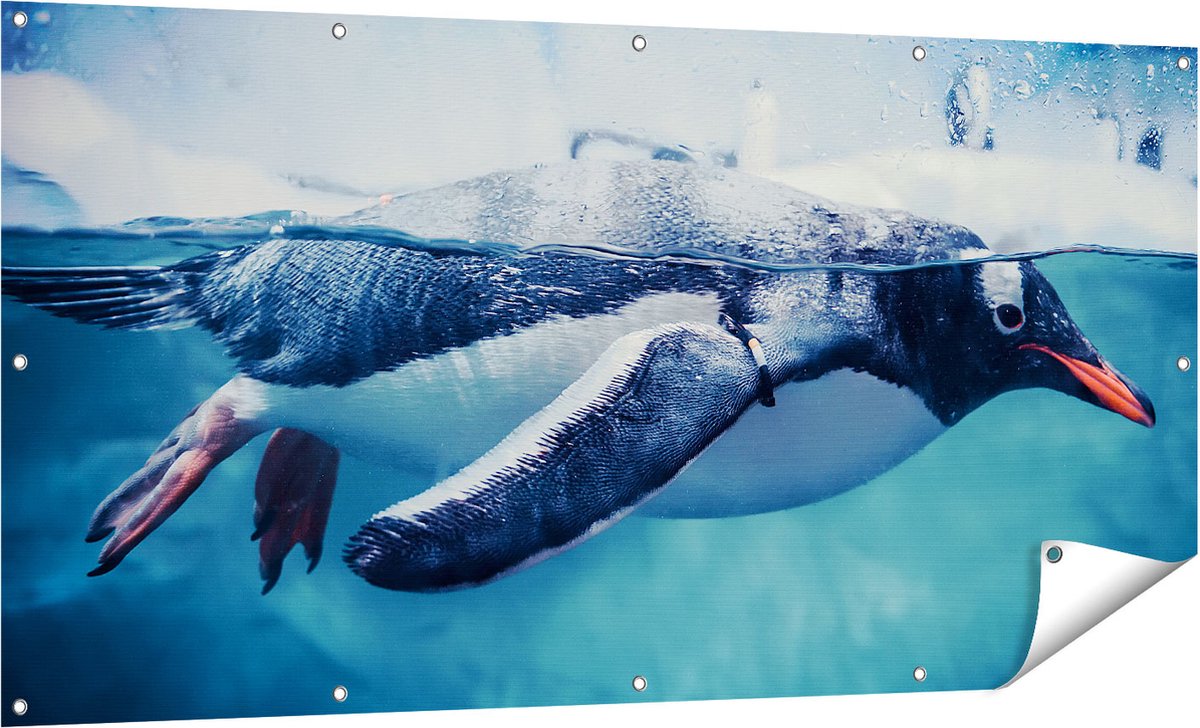 Gards Tuinposter Pingu�n Zwemt in het Water - 160x80 cm - Tuindoek - Tuindecoratie - Wanddecoratie buiten - Tuinschilderij Multikleur