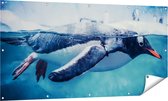 Gards Tuinposter Pingu�n Zwemt in het Water - 160x80 cm - Tuindoek - Tuindecoratie - Wanddecoratie buiten - Tuinschilderij