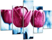 Glasschilderij -  Tulp - Roze, Blauw - 100x70cm 5Luik - Geen Acrylglas Schilderij - GroepArt 6000+ Glasschilderijen Collectie - Wanddecoratie- Foto Op Glas