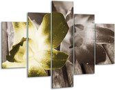 Peinture sur verre fleur | Vert, gris, blanc | 100x70cm 5Liège | Tirage photo sur verre |  F002565