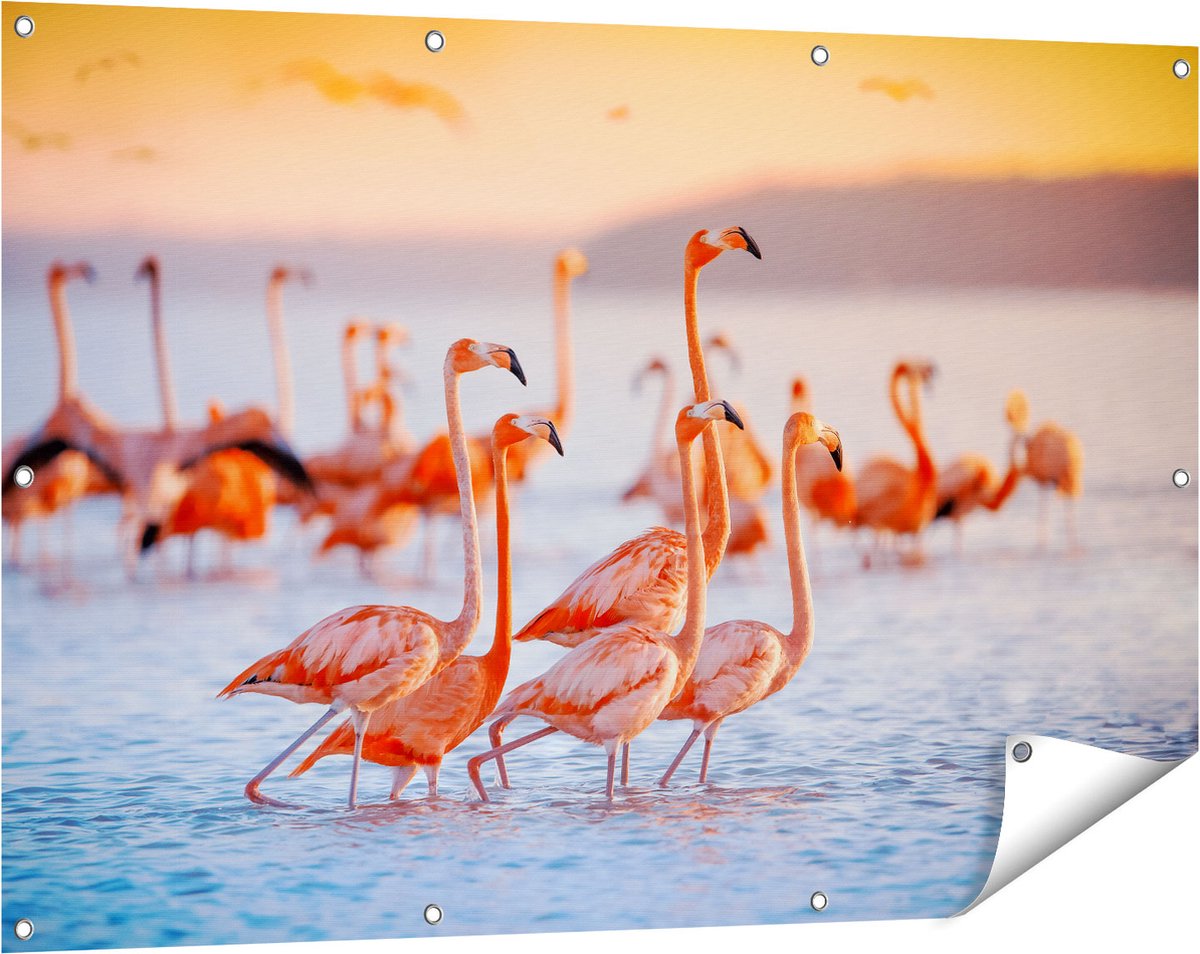 Gards Tuinposter Kudde Flamingo's in het Water - 120x80 cm - Tuindoek - Tuindecoratie - Wanddecoratie buiten - Tuinschilderij Multikleur
