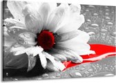 Peinture sur toile Fleur | Gris, blanc, rouge | 140x90cm 1 Liège